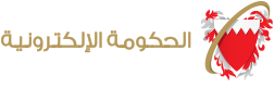 الحكومة الإلكترونية
